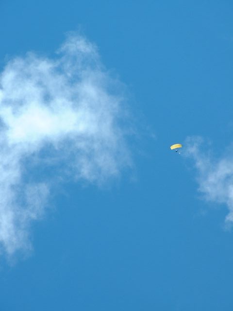 in the sky with diamonds